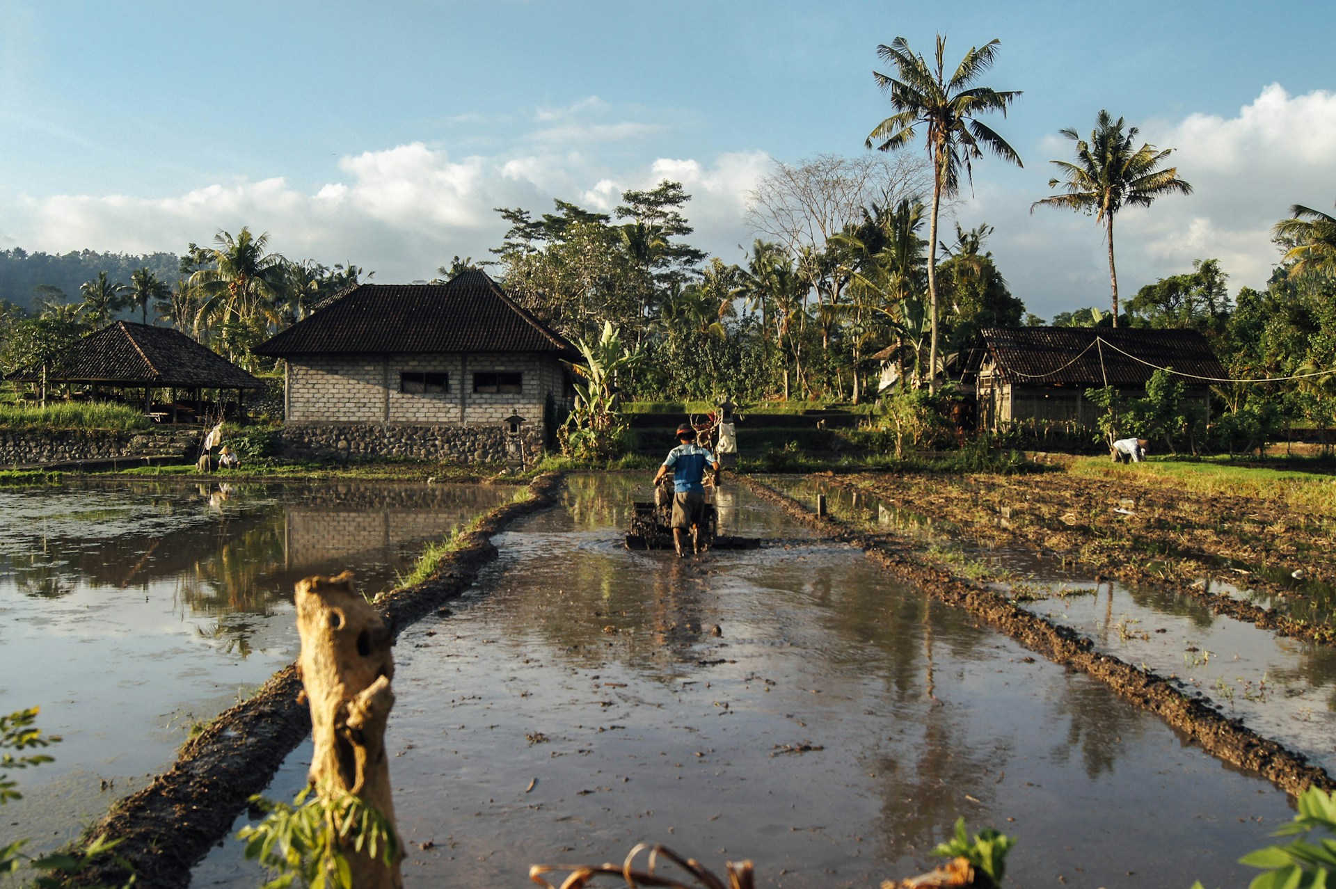 Water Supply Disruption in Asia – Urgent Action Needed