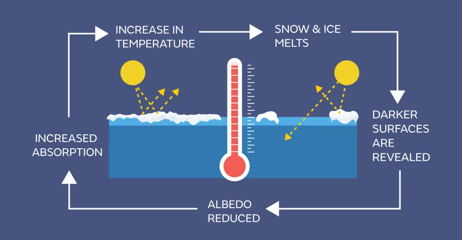 Diagram of how the ice-albedo effect is bad for climate change.