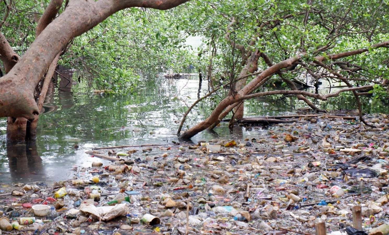 Plastic Pollution in the Philippines