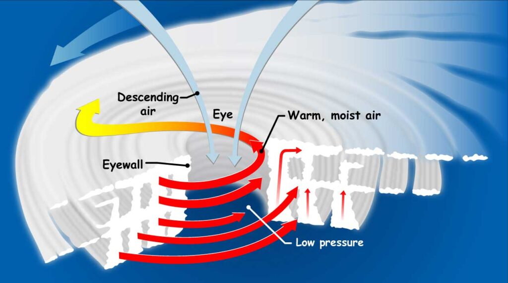 Typhoon diagram