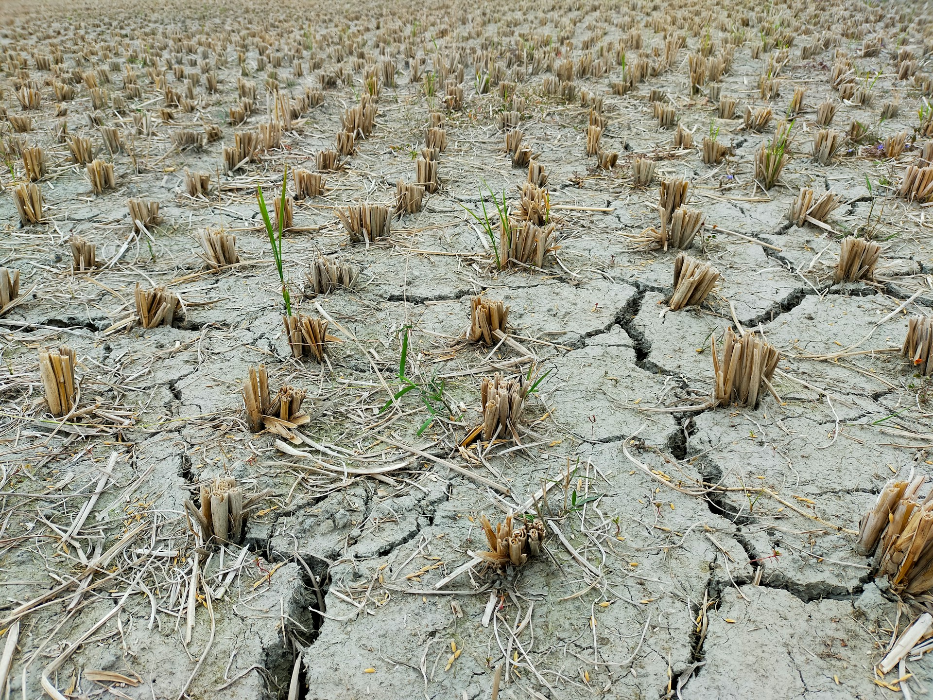 Better Water Governance and Collaboration Key in Addressing Asia’s Growing Water Scarcity Risk