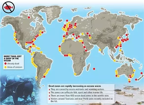 Dead zones from eutrophication