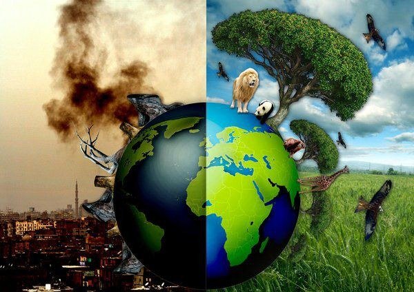 The Human Impact on the Environment