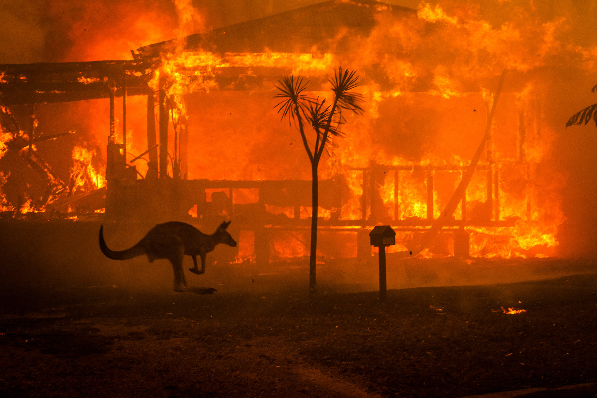 Environmental Issues In Australia: An Existential Risk