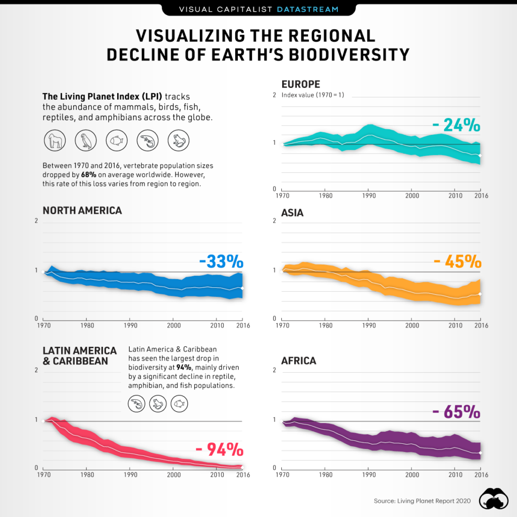 The factors that affect biodiversity have created a species decline on all continents.