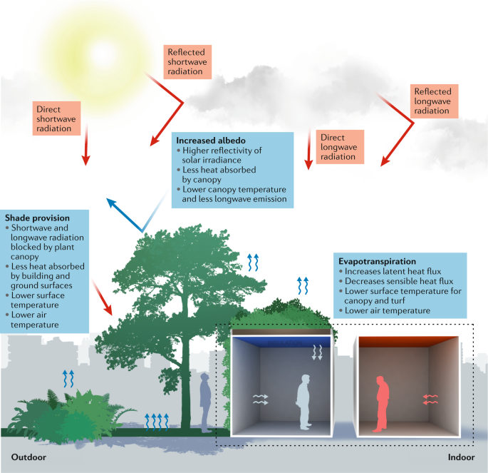 Implementation of green infrastructure to target the urban heat island effect