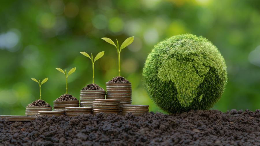 Environmental Economics and the True Cost of Climate Change