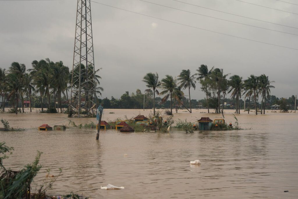 2025: The Year of Climate Disasters