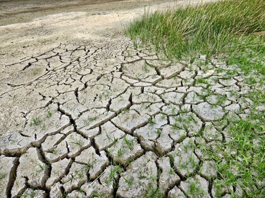 Effects of Climate Change Across Natural, Economic and Social Systems
