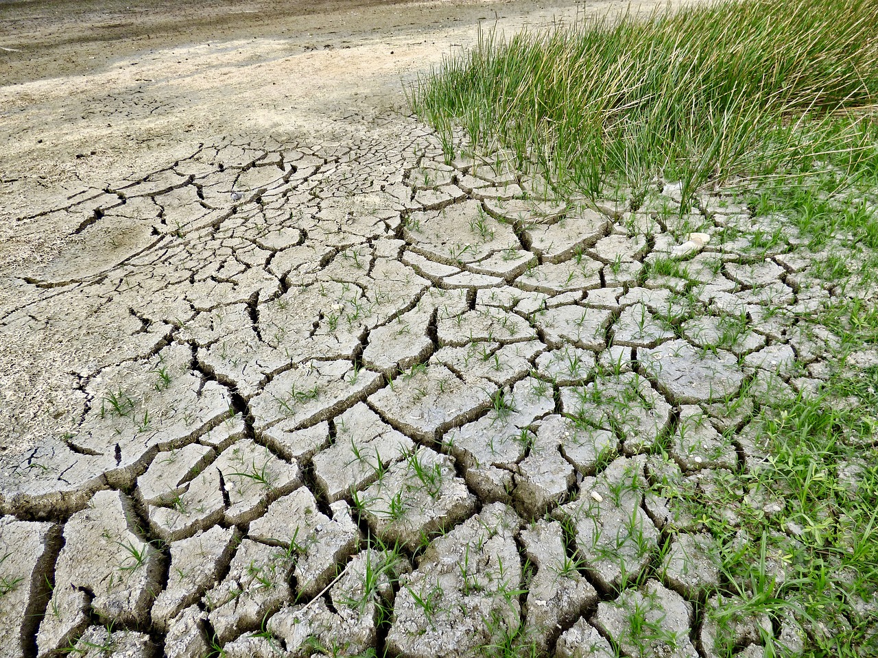 Effects of Climate Change Across Natural, Economic and Social Systems